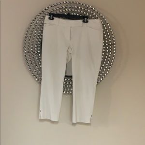 White House Black Market Crop Leg